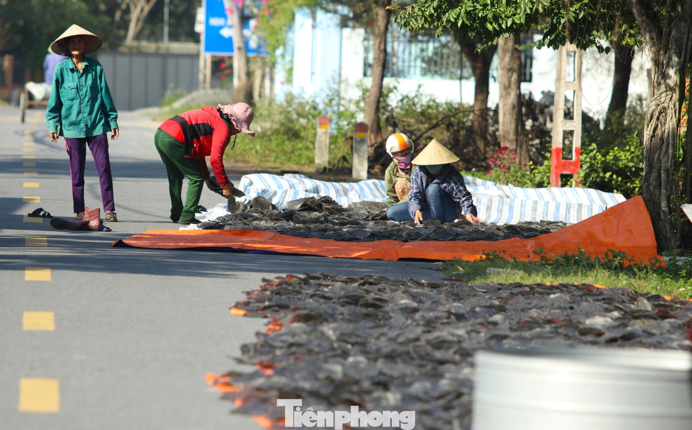 Tranh thủ những ngày nắng hiếm hoi cuối năm, những cơ sở làm bánh đa ở làng Tây Lân (xã Nghi Trường, Nghi Lộc, Nghệ An) lại tất bật mang bánh đa ra phơi để kịp đóng gói giao cho khách. Tranh thủ những ngày nắng hiếm hoi cuối năm, những cơ sở làm bánh đa ở làng Tây Lân (xã Nghi Trường, Nghi Lộc, Nghệ An) lại tất bật mang bánh đa ra phơi để kịp đóng gói giao cho khách.
