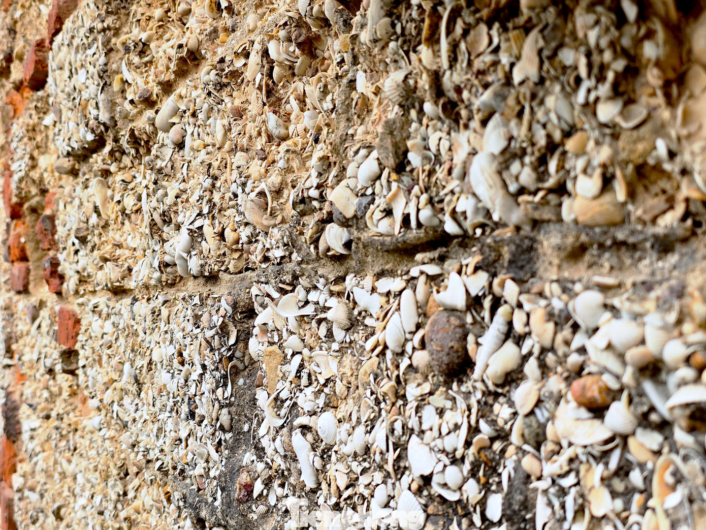 Đặc biệt, vỏ sò rất bền bỉ với môi trường mặn mà của biển, có khả năng chống lại hơi nước biển thổi quanh năm. Chính vì vậy, vỏ sò, ốc đã trở thành lựa chọn hàng đầu trong việc xây dựng của người dân vùng biển. Đặc biệt, vỏ sò rất bền bỉ với môi trường mặn mà của biển, có khả năng chống lại hơi nước biển thổi quanh năm. Chính vì vậy, vỏ sò, ốc đã trở thành lựa chọn hàng đầu trong việc xây dựng của người dân vùng biển.