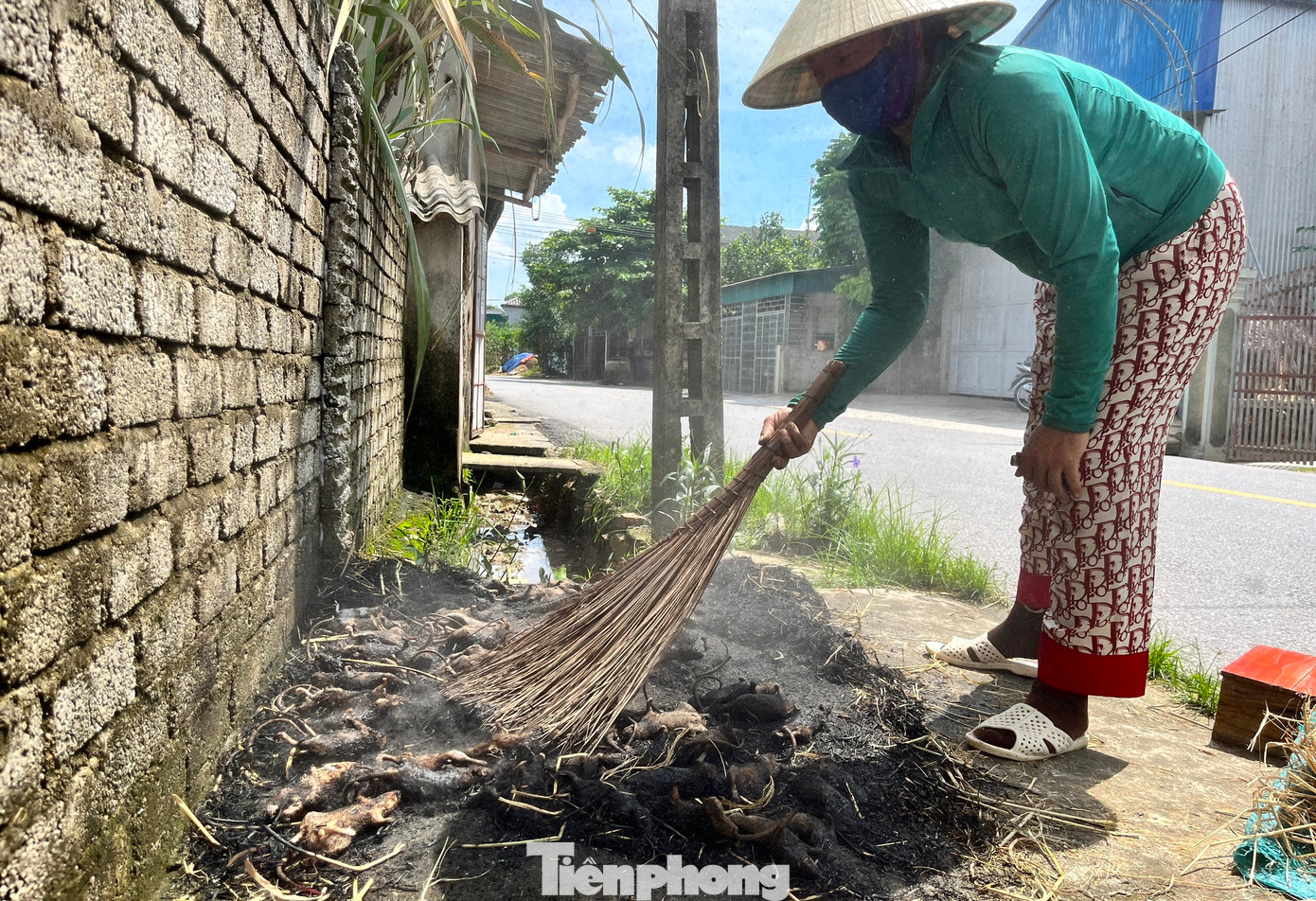 Chuột được sơ chế bằng cách thui qua lửa rơm. Những người thợ sau đó sẽ lột bỏ da, loại bỏ chân, đuôi, đầu và toàn bộ nội tạng. Người thợ chỉ giữ lại chắc phần thịt để bán cho khách. Với mỗi kg thịt chuột đã làm sạch, sẽ có giá từ 100.000 - 150.000 đồng tùy loại.