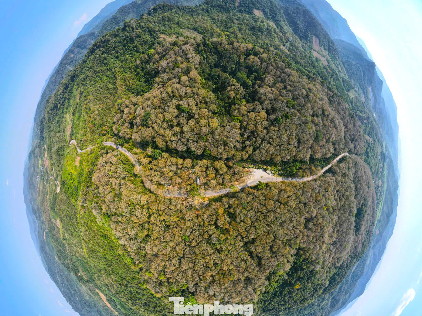 Để khi mùa hạ đến, rừng săng lẻ sẽ trở lại xanh tươi như một "lá phổi xanh" của thiên nhiên ban tặng. Để khi mùa hạ đến, rừng săng lẻ sẽ trở lại xanh tươi như một "lá phổi xanh" của thiên nhiên ban tặng.