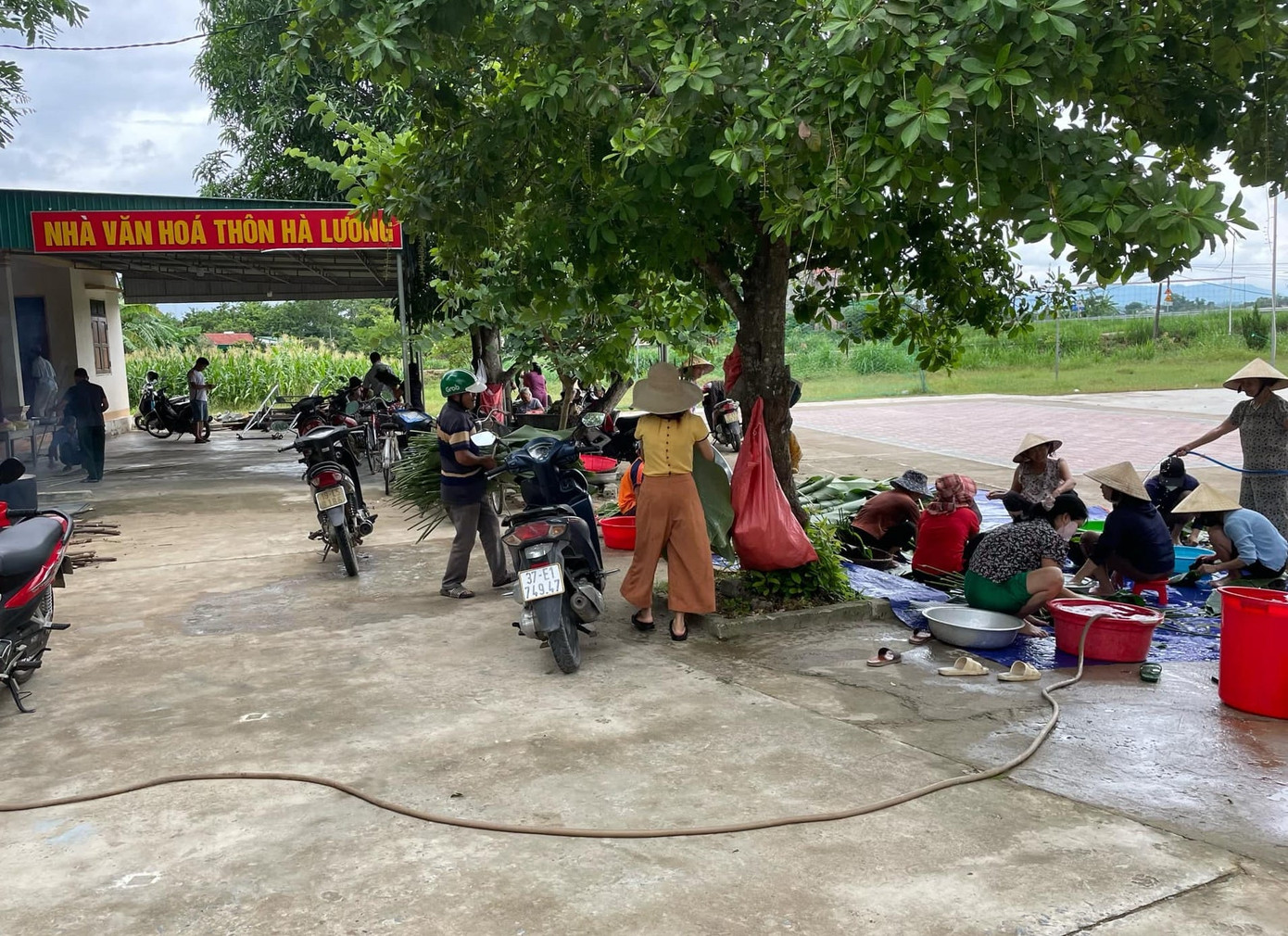 Khoảnh sân trước nhà văn hóa thôn Hà Lương (xã Võ Liệt, Thanh Chương, Nghệ An) trở thành nơi gói bánh chưng ủng hộ người dân vùng lũ lụt.