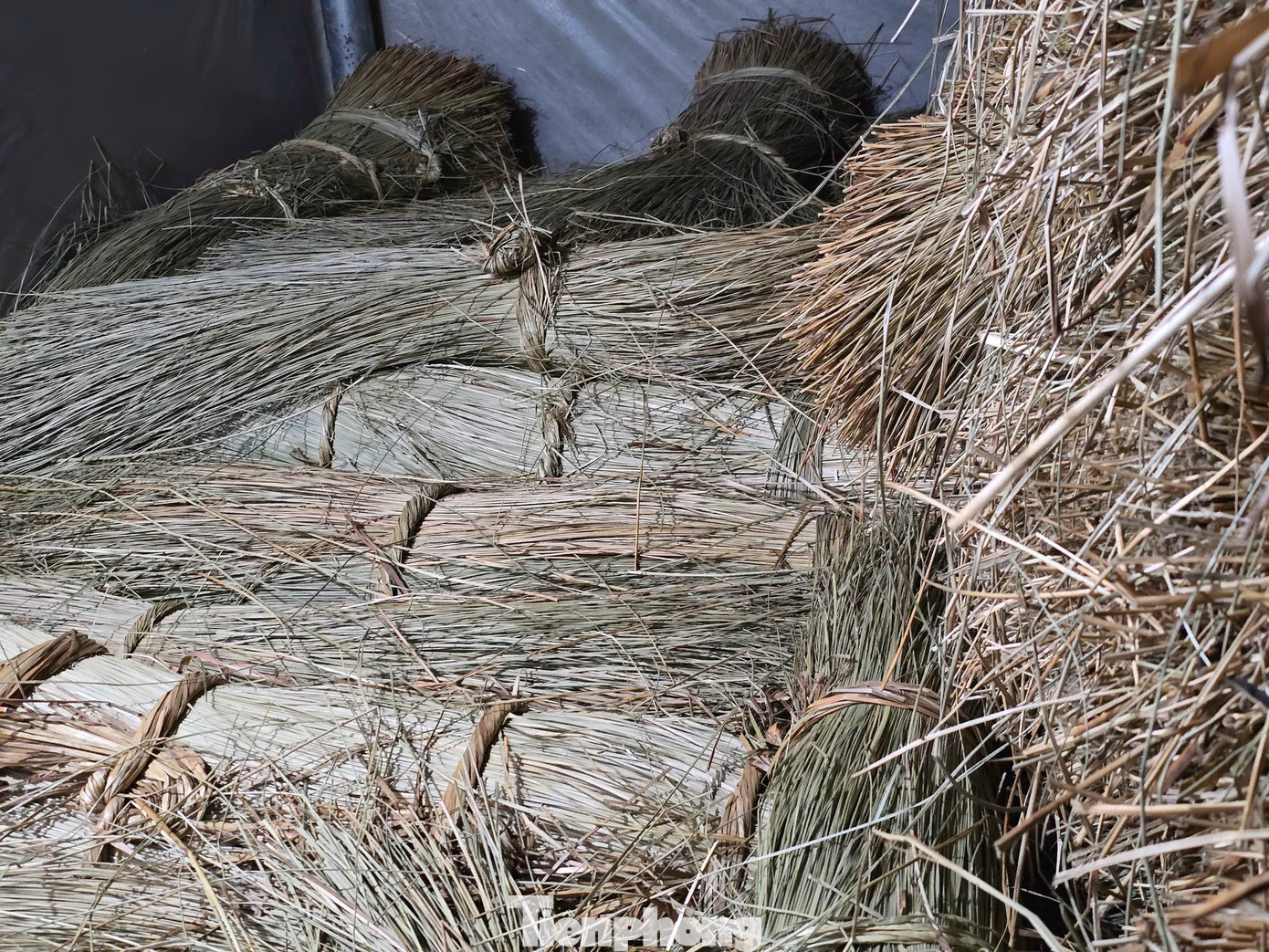 &quot;Nguyên liệu là cây cói, mình đi thu mua nhiều tỉnh thành, từ Thanh Hóa vào tận Hà Tĩnh. Một số thì người dân ở đây đi thu hoạch rồi về bán lại. Cói sau khi mua về được phơi nắng cho khô rồi chẻ nhỏ cất vào kho làm nguyên liệu&quot;, chị Hân cho biết, khí hậu địa phương nồm ẩm, cây cói rất dễ ẩm mốc và hư hỏng nên chị phải đầu tư làm kho kín và mua thêm máy sấy.