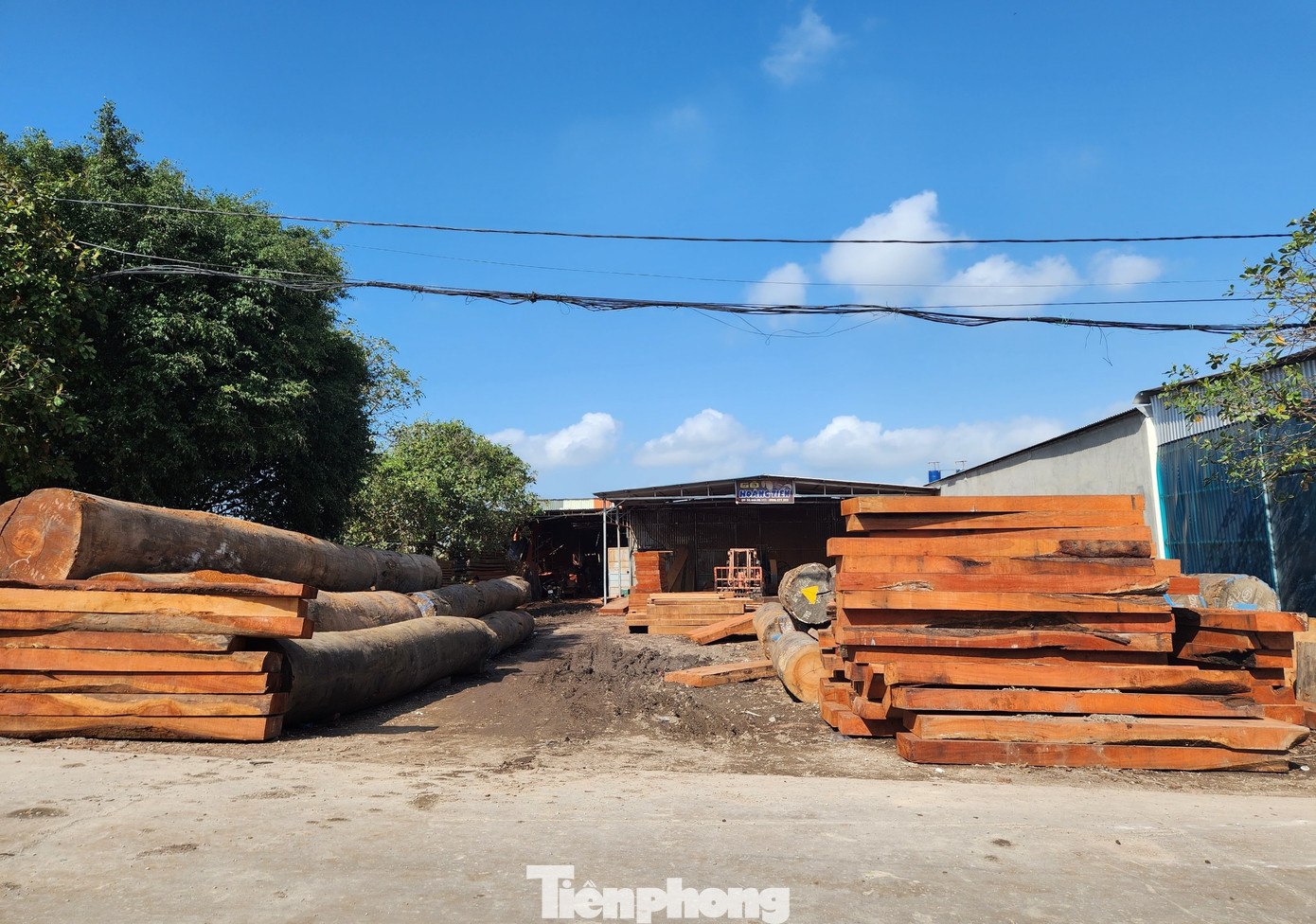 Ông Trần Đình Trọng - Chủ tịch UBND xã Quỳnh Hưng cho biết, trước đây toàn xã có hơn 300 hộ gia đình sản xuất đồ mộc nhưng hiện nay chỉ còn hơn 100 hộ bám trụ lại với nghề. Nghề mộc đem lại nguồn thu lớn cho người dân địa phương. Trung bình mỗi năm doanh thu từ nghề mộc đạt trên 200 tỉ đồng, tạo ra hàng trăm việc làm tại chỗ. Tuy nhiên, năm nay doanh thu giảm nhiều do hàng sản xuất ra không bán được. Ông Trần Đình Trọng - Chủ tịch UBND xã Quỳnh Hưng cho biết, trước đây toàn xã có hơn 300 hộ gia đình sản xuất đồ mộc nhưng hiện nay chỉ còn hơn 100 hộ bám trụ lại với nghề. Nghề mộc đem lại nguồn thu lớn cho người dân địa phương. Trung bình mỗi năm doanh thu từ nghề mộc đạt trên 200 tỉ đồng, tạo ra hàng trăm việc làm tại chỗ. Tuy nhiên, năm nay doanh thu giảm nhiều do hàng sản xuất ra không bán được.