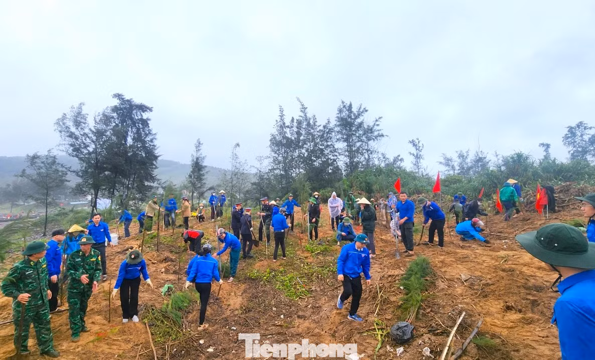 Hàng trăm đoàn viên thanh niên tỉnh Nghệ An, lực lượng chức năng và đông đảo bà con nhân dân xã Nghi Tiến tham gia trồng cây trong buổi ra quân.