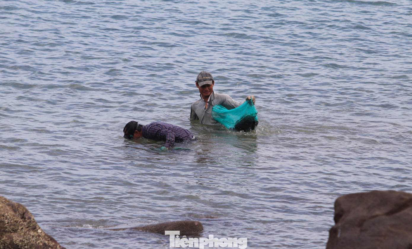 Không chỉ những phụ nữ nhàn rỗi, thời gian này nhiều người đàn ông cũng tranh thủ ra ngụp lặn dưới nước để vớt rong biển bán kiếm tiền. Không chỉ những phụ nữ nhàn rỗi, thời gian này nhiều người đàn ông cũng tranh thủ ra ngụp lặn dưới nước để vớt rong biển bán kiếm tiền.