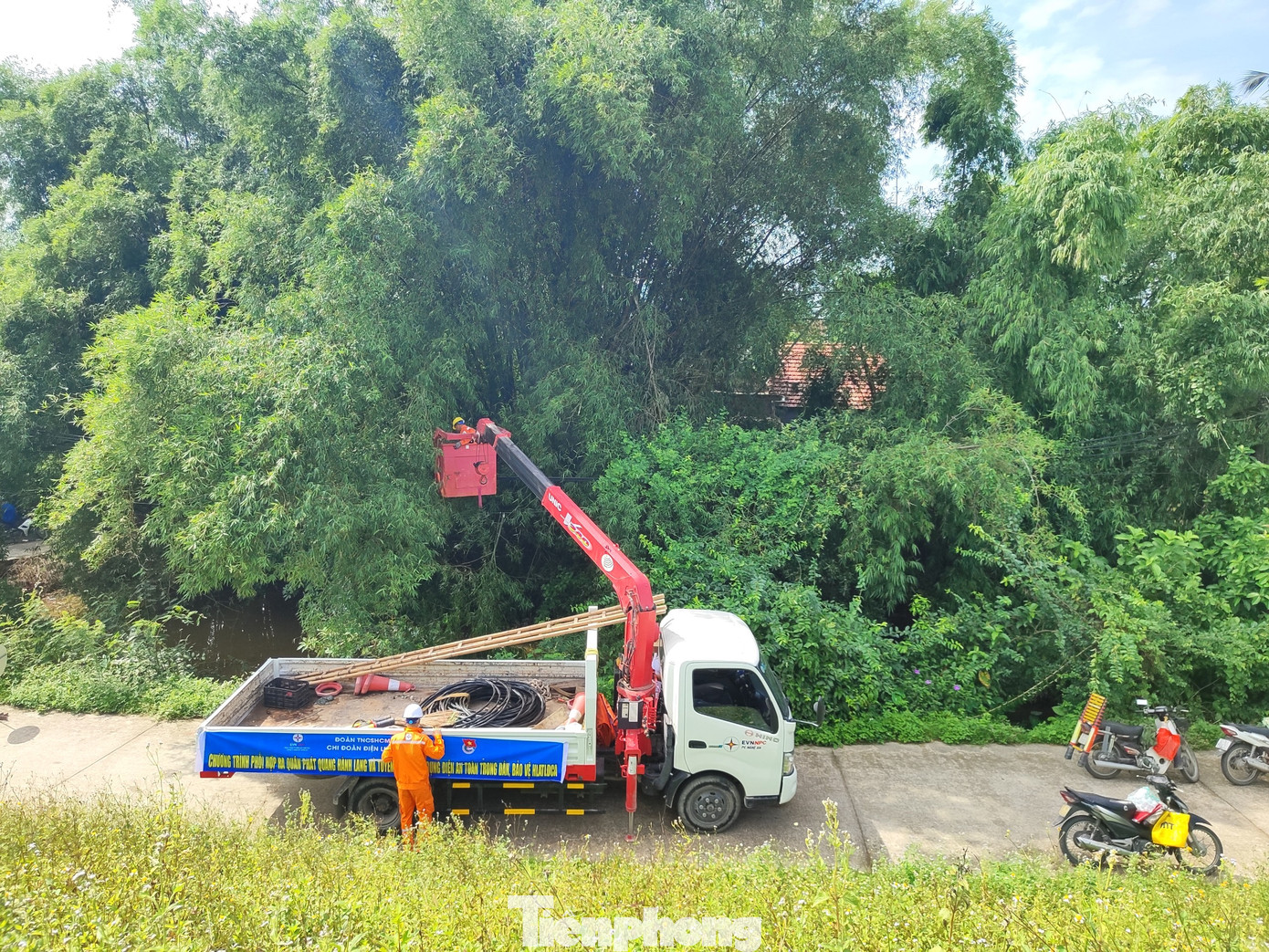 Các đường điện bị những lùm tre cao xâm phạm vào hành lang, lực lượng chức năng phải sử dụng xe cẩu và thiết bị chuyên dụng để phát quang.
