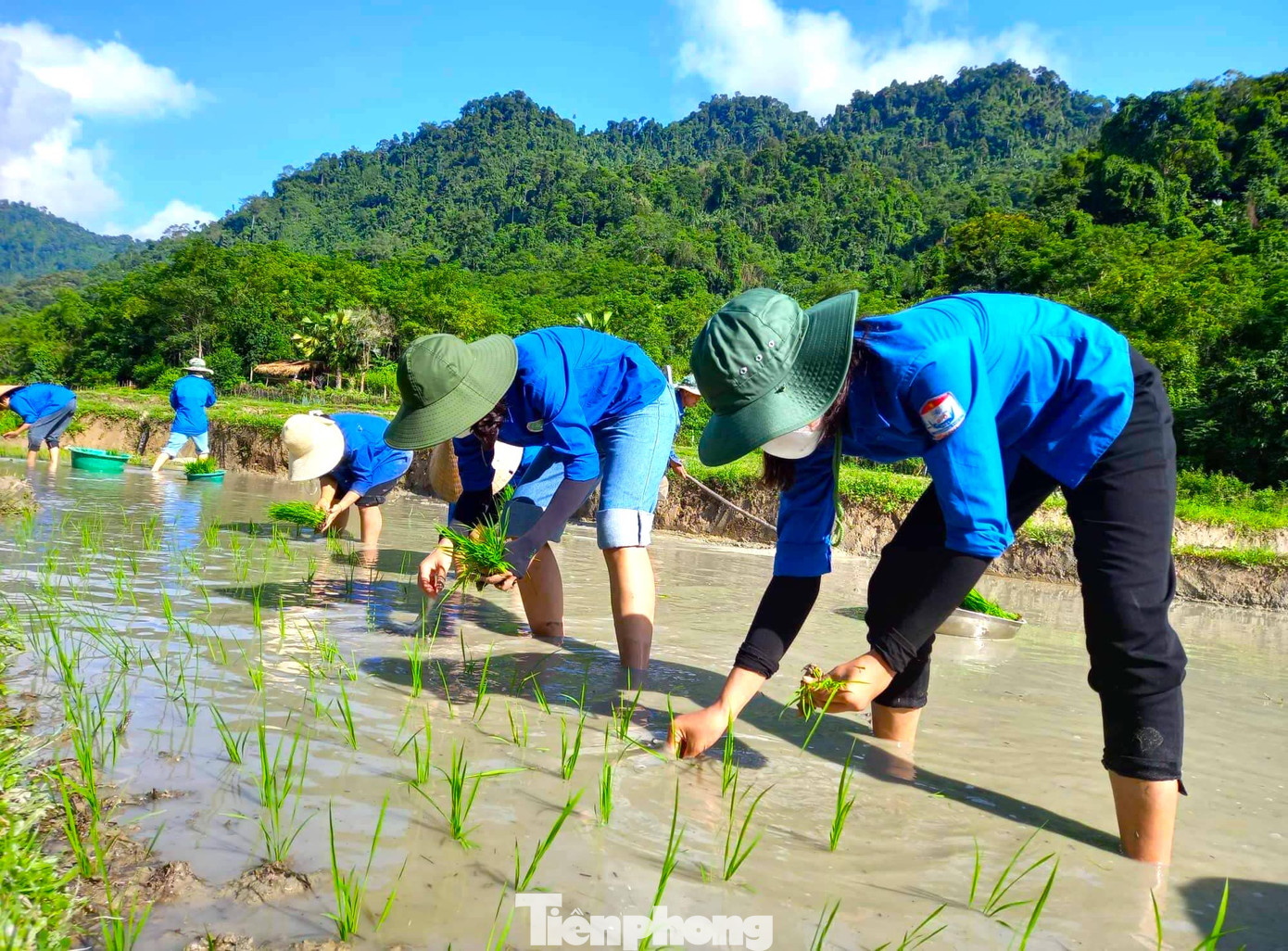 Các đoàn viên thanh niên hỗ trợ cấy lúa, thu hoạch nông sản giúp cho các gia đình có hoàn cảnh khó khăn, neo người.