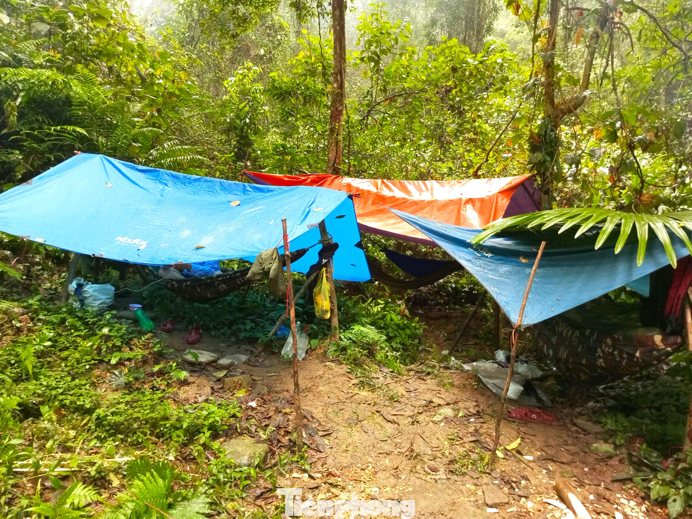 Chỉ đến khi chiều tối về, các thành viên mới chọn vị trí bằng phẳng để dựng lều và mắc võng để ngủ qua đêm.