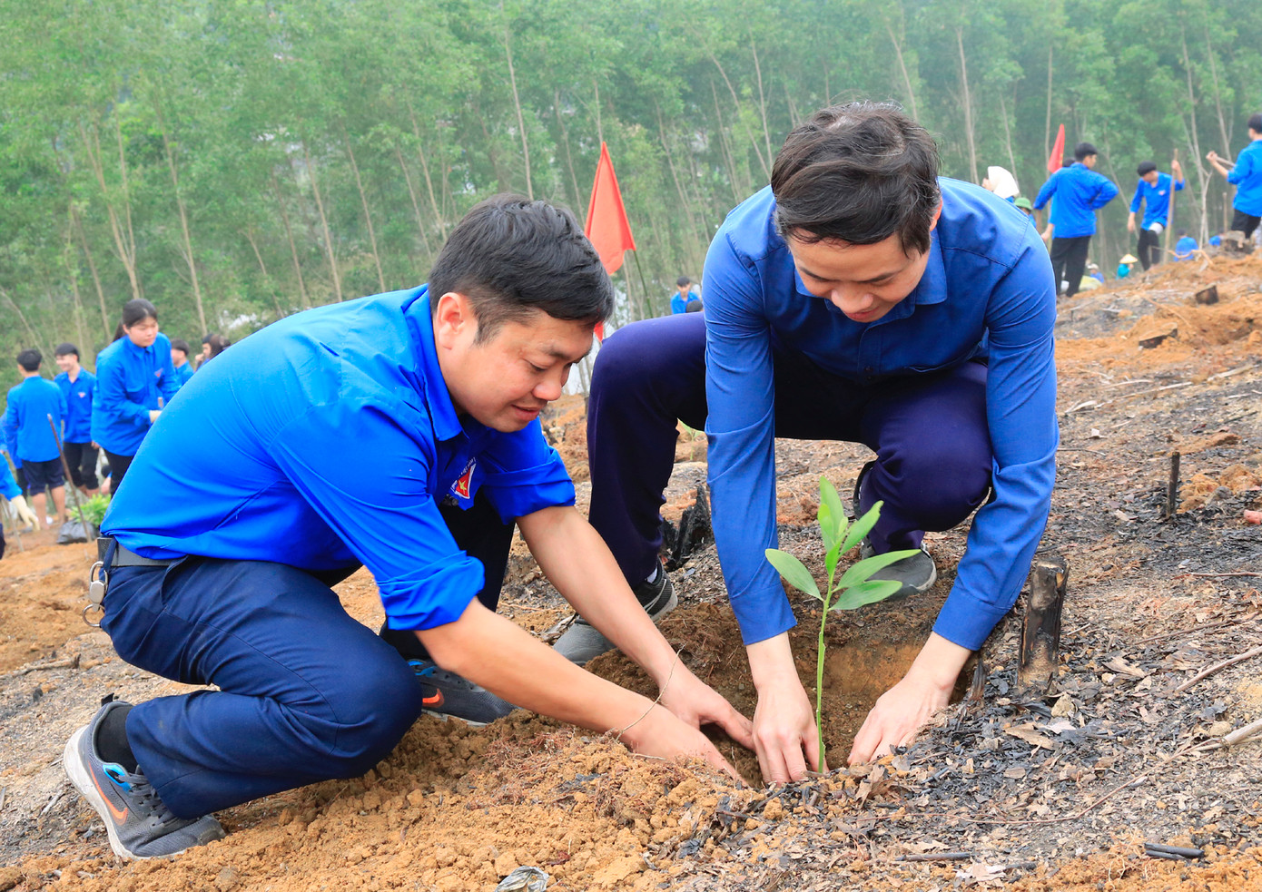 Khi hố đã được đào xong, nhóm phụ trách trồng sẽ đưa cây đến trồng xuống đất. Khi hố đã được đào xong, nhóm phụ trách trồng sẽ đưa cây đến trồng xuống đất.