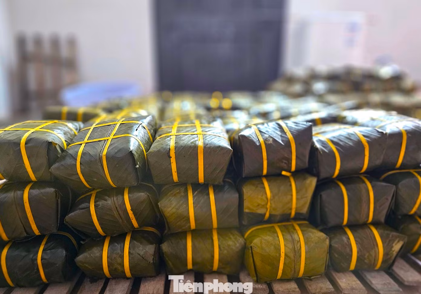 Những chiếc bánh chưng sau khi nấu chín sẽ được đưa ra làm nguội trước khi giao đến cho khách sử dụng.