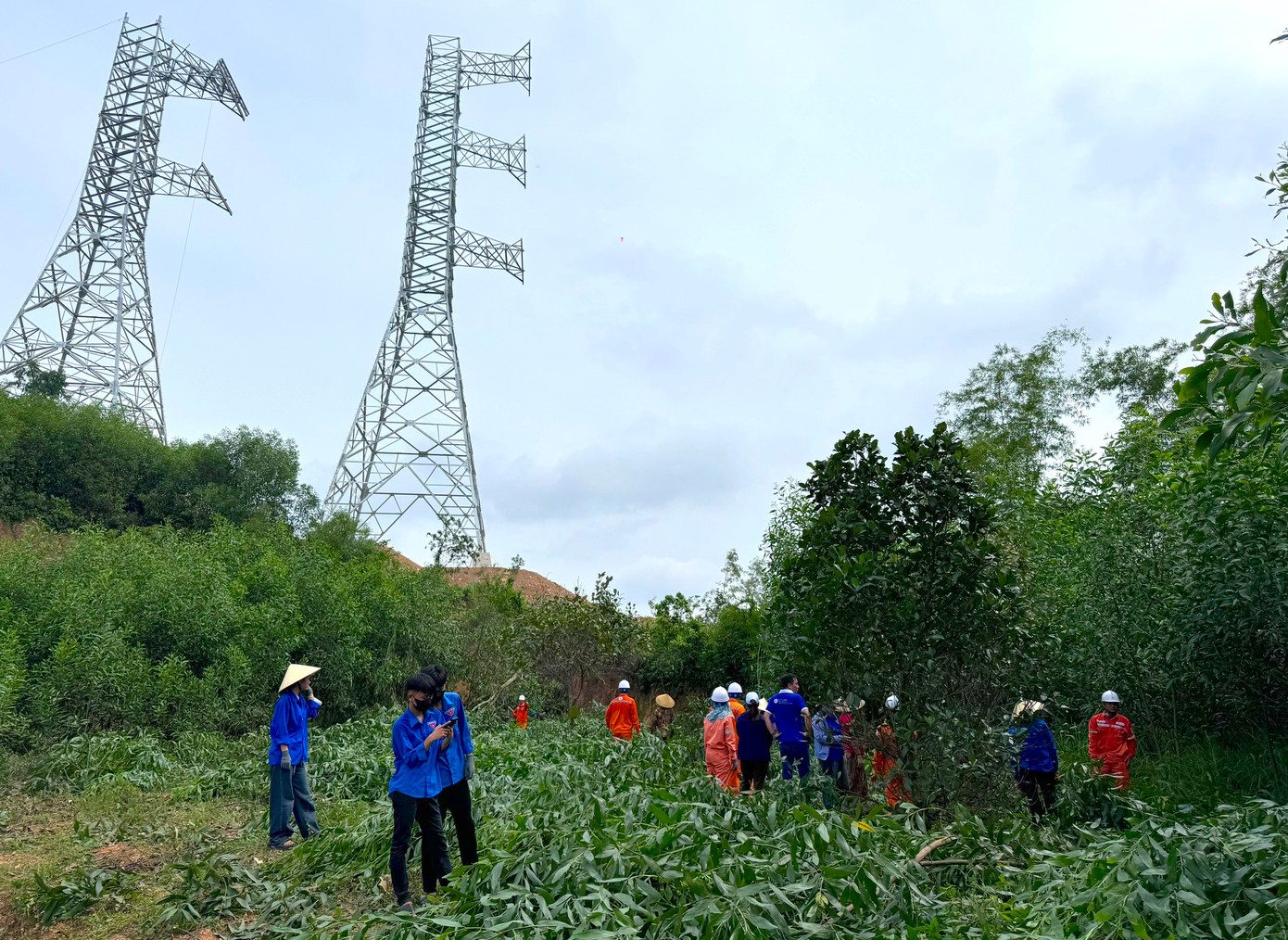 Những ngày qua, các tổ chức Đoàn trên toàn tỉnh Nghệ An đã đồng loạt ra quân phối hợp với cơ quan điện lực, chính quyền địa phương tiến hành giải phóng mặt bằng, chặt cây cối trong hành lang lưới điện, giúp đơn vị thi công đường điện 500kV mạch 3 được thông suốt. Những ngày qua, các tổ chức Đoàn trên toàn tỉnh Nghệ An đã đồng loạt ra quân phối hợp với cơ quan điện lực, chính quyền địa phương tiến hành giải phóng mặt bằng, chặt cây cối trong hành lang lưới điện, giúp đơn vị thi công đường điện 500kV mạch 3 được thông suốt.