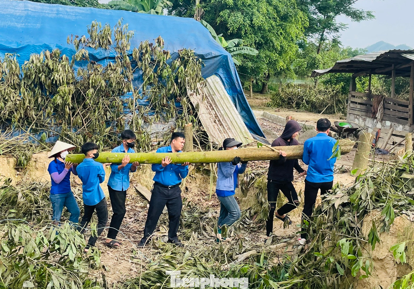 Nhiều khu vực có cây lớn, các đoàn viên phải hợp sức nhau lại để chặt và khuân vác đi khỏi hiện trường. Trong ảnh, đoàn viên thanh niên xã Đức Thành (huyện Yên Thành, Nghệ An) giải tỏa hành lang tuyến tại điểm cột 433 - 435. Nhiều khu vực có cây lớn, các đoàn viên phải hợp sức nhau lại để chặt và khuân vác đi khỏi hiện trường. Trong ảnh, đoàn viên thanh niên xã Đức Thành (huyện Yên Thành, Nghệ An) giải tỏa hành lang tuyến tại điểm cột 433 - 435.
