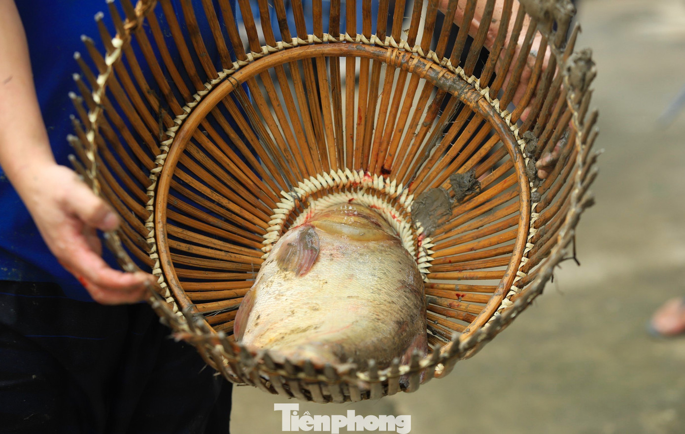 Nhiều nơm thủ vui mừng bắt được con cá lớn liền mang lên bờ khoe với mọi người.