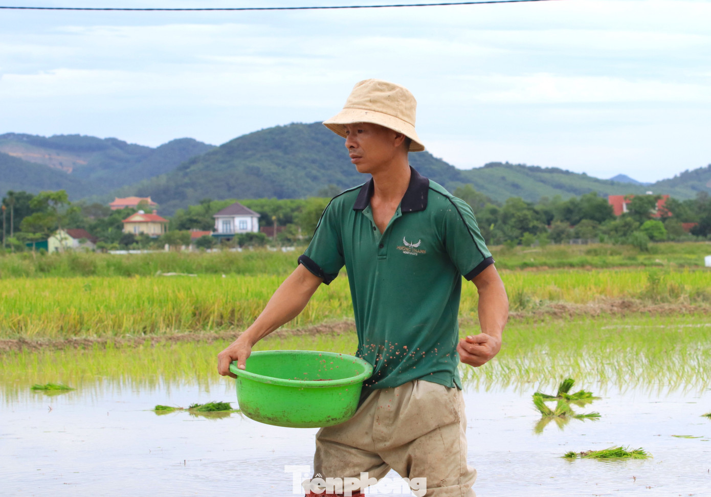 Rồi khẩn trương bón phân để cấy lúa.