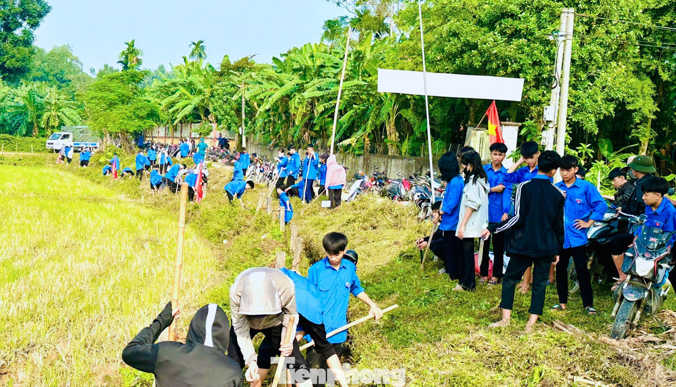 Gồm đoàn viên thanh niên các trường THPT Cát Ngạn, THPT Thanh Chương 3, THPT Thanh Chương 1, THPT Đặng Thúc Hứa, THPT Đặng Thai Mai, THPT Nguyễn Cảnh Chân, THPT Nguyễn Sỹ Sách, Trung tâm GDNN-GDTX. Các đoàn viên thanh niên đã triển khai làm tại Thanh Lĩnh, Thanh Xuân, Thanh Hà, Thanh Dương, Thanh Đồng, Đại Đồng, Thanh Lâm...