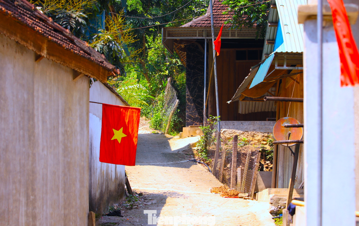 Khắp các con đường lớn nhỏ dẫn vào bản làng ở huyện miền núi Nghệ An đều được trang hoàng cờ hoa rực rỡ. Trong ảnh, lá cờ đỏ sao vàng tung bay rực rỡ khắp các bản làng xã Tam Hợp, huyện Tương Dương, Nghệ An. Ảnh: Ngọc Tú.