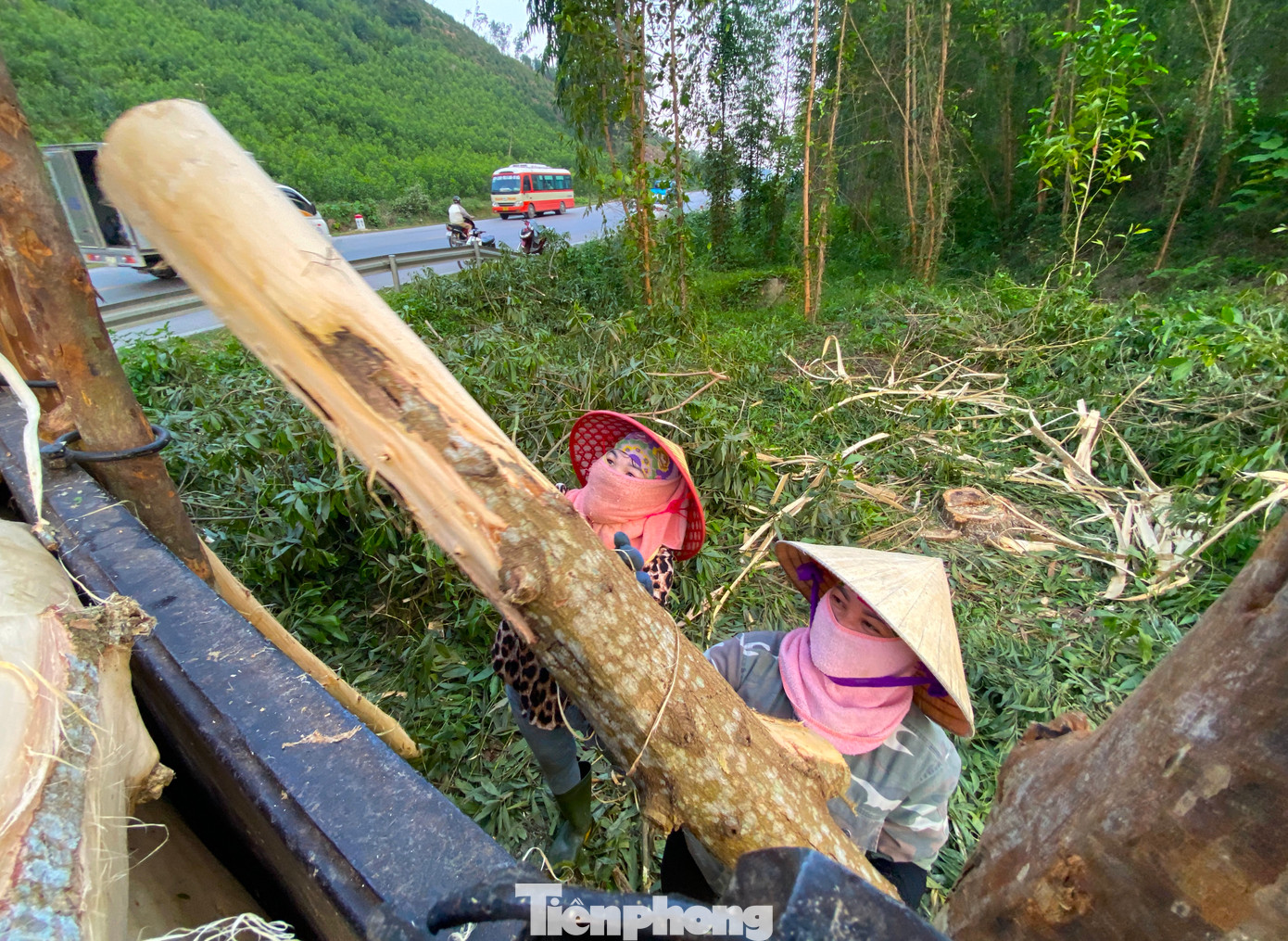 "Nghề này vất vả lắm. Mùa hè thì nắng nóng, mùa đông thì mưa, cây keo ngấm nước nặng. Sau khi bóc vỏ, thân cây keo rất trơn. Lúc bốc vác đến điểm tập kết hoặc bốc lên xe rất dễ rơi", chị Hoàng Thị Hợi (trú thị xã Thái Hòa) nói và cho hay có lần lúc bốc vác chị bị thân cây va đập vào chân nhưng may mắn chỉ bị xây xước và bầm tím.