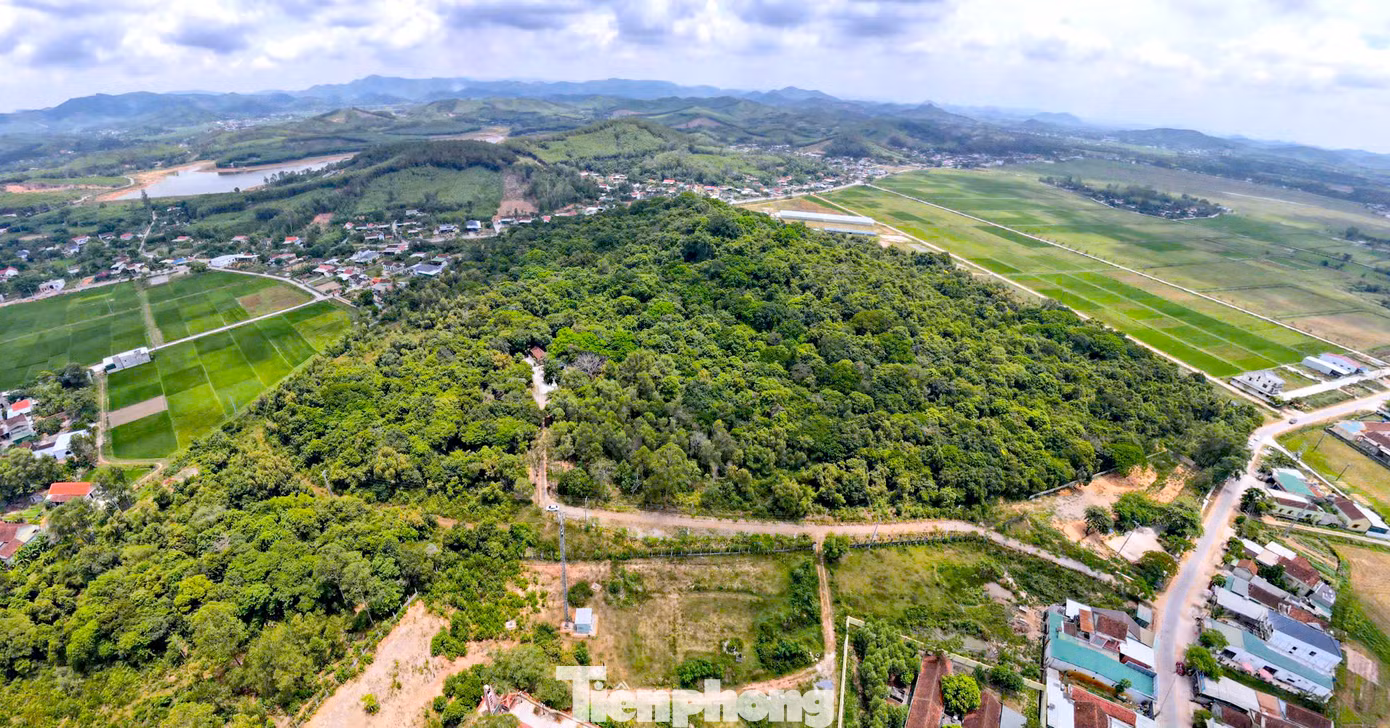 Rừng lim ở xã Hậu Thành hay còn gọi là núi Tháp nằm ngay trung tâm xã Hậu Thành, cách trung tâm huyện Yên Thành (Nghệ An) khoảng 7km. Toàn bộ khu rừng rộng hơn 18ha với hàng nghìn cây gỗ quý các loại; bốn phía là khu dân cư, đường giao thông liên thôn, xã. Nơi đây được ví như “lá phổi xanh” giúp điều hòa không khí cho người dân trong vùng nên ai cũng quý trọng.
