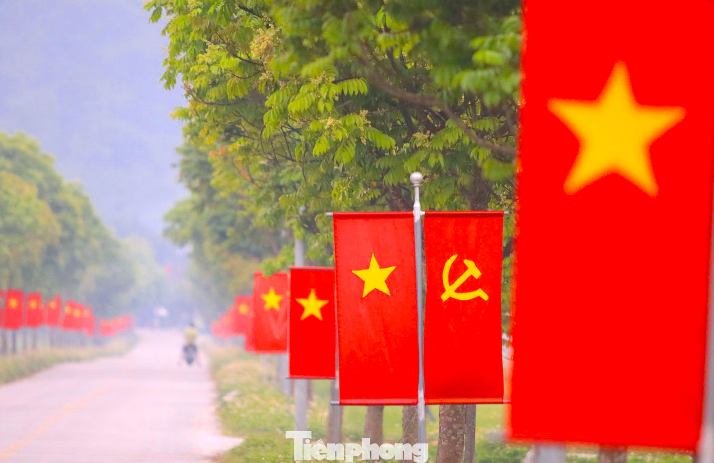 Tuyến đường dài gần 1km có hàng cây xanh mát được tô thắm thêm màu đỏ rực rỡ của lá cờ Tổ quốc, cờ Đảng.