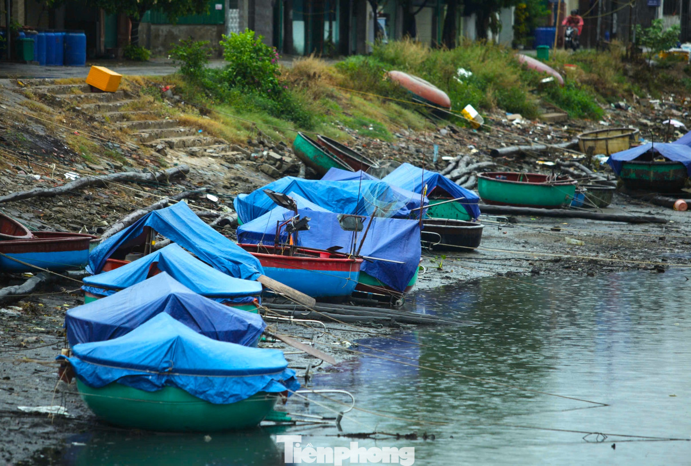 Những chiếc thuyền thúng đã được người dân cẩn thận che chắn bằng bạt. Những chiếc thuyền thúng đã được người dân cẩn thận che chắn bằng bạt.
