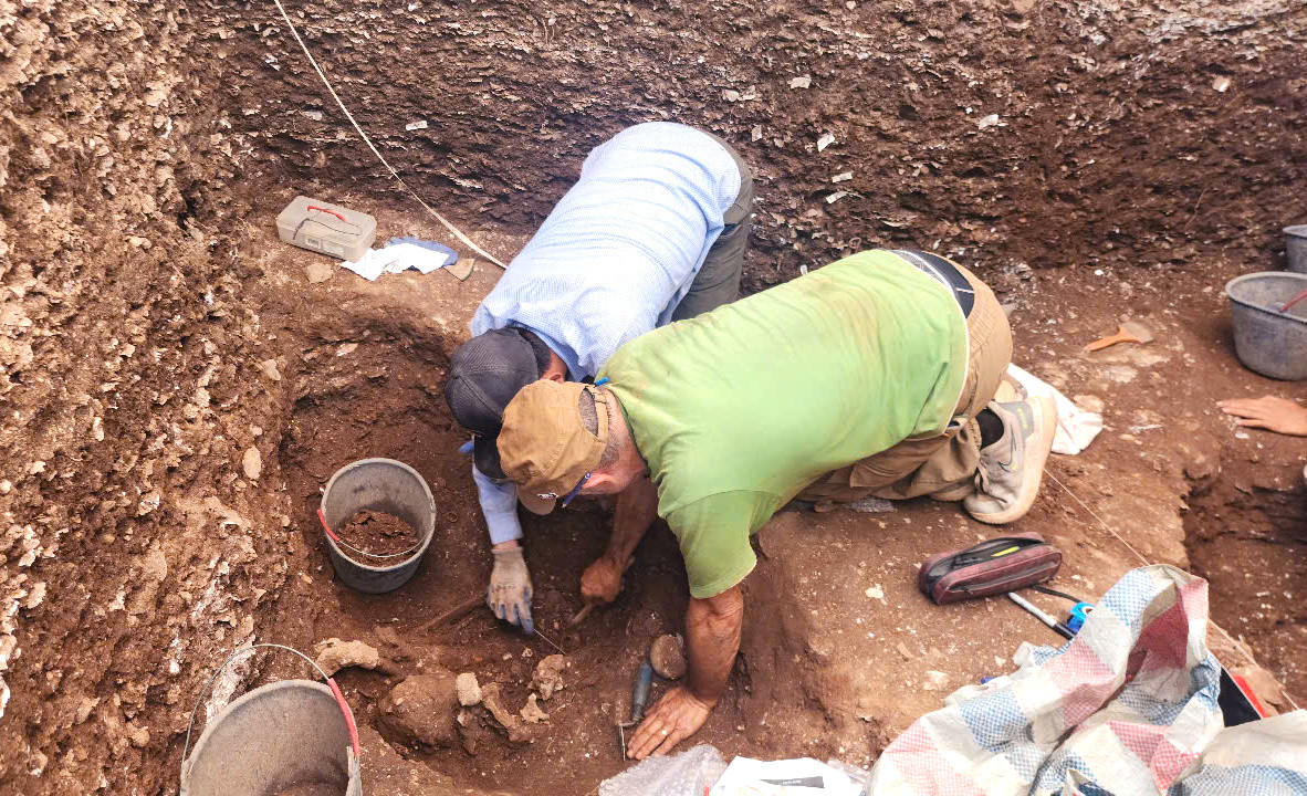 Các nhà khảo cổ khai quật tại di chỉ khảo cổ học Quỳnh Văn (huyện Quỳnh Lưu, tỉnh Nghệ An). Các nhà khảo cổ khai quật tại di chỉ khảo cổ học Quỳnh Văn (huyện Quỳnh Lưu, tỉnh Nghệ An).