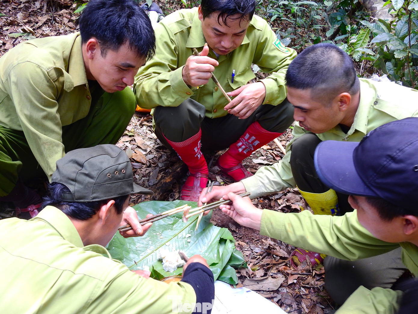 Đi rừng thiếu thốn, họ dùng lá cây làm chiếu trải để ăn cơm. Bữa ăn đôi khi chỉ là cơm trắng với muối lạc.