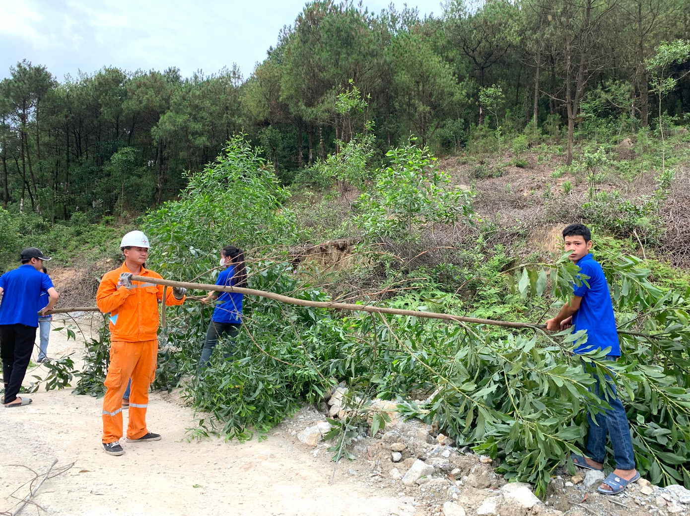 Các cơ sở đoàn trên toàn tỉnh Nghệ An phối hợp với các cơ quan điện lực tiến hành phát quang bụi rậm, chặt cây, giải tỏa hành lang nơi có đường lưới điện đi qua, đảm bảo việc thi công được triển khai thuận tiện.