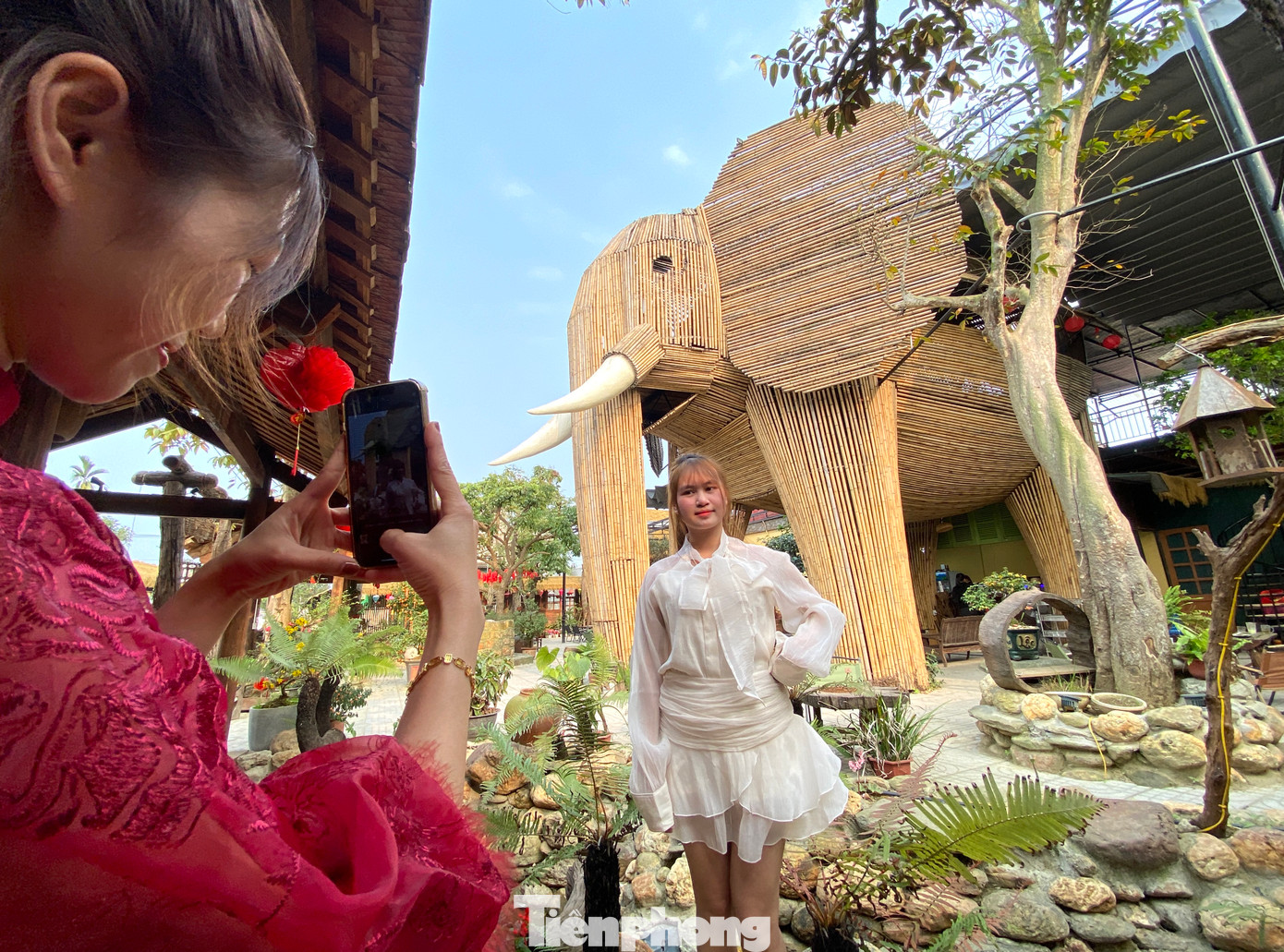 Nhiều bạn trẻ tranh thủ đến chụp hình cùng con voi khổng lồ.