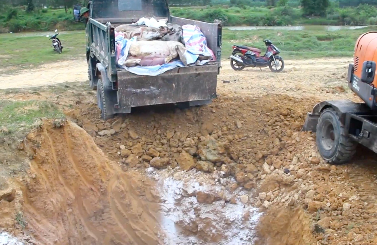 Cơ quan chức năng trục vớt xác lợn đi xử lý, tiêu hủy theo quy định.