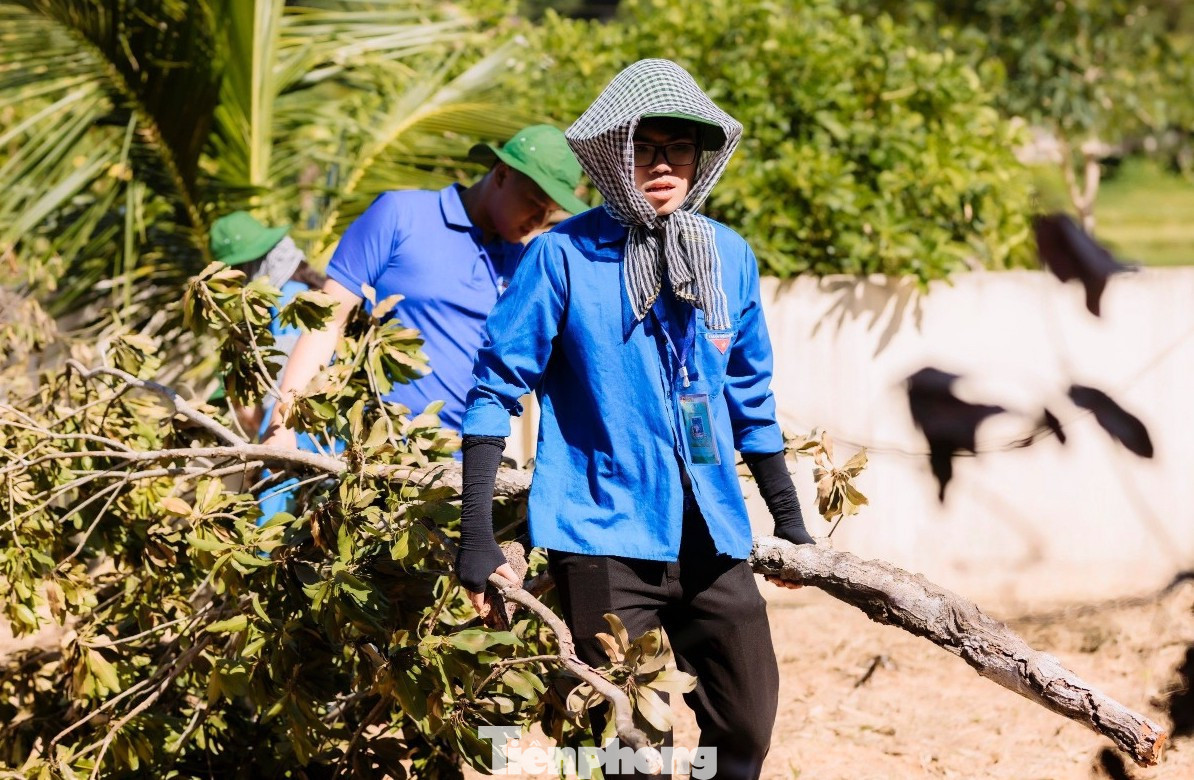 Được biết, bà Trần Thị Hà bị đau chân, đi lại khó khăn và hiện ở một mình. Trước hoàn cảnh khó khăn của gia đình, sau khi thăm hỏi tặng quà, các đoàn viên thanh niên đã tiến hành dọn dẹp nhà cửa, sân, vườn để bà Trần Thị Hà có một ngày kỷ niệm trọn vẹn.