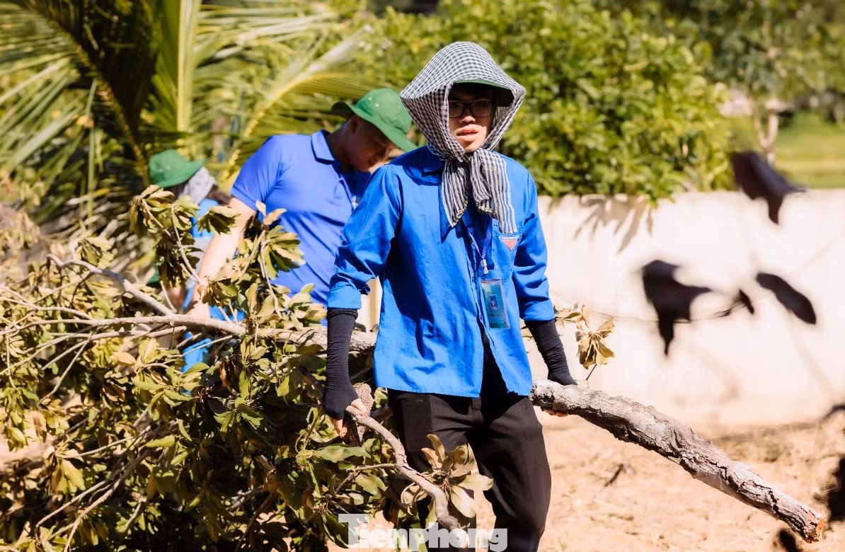 Được biết, bà Trần Thị Hà bị đau chân, đi lại khó khăn và hiện ở một mình. Trước hoàn cảnh khó khăn của gia đình, sau khi thăm hỏi tặng quà, các đoàn viên thanh niên đã tiến hành dọn dẹp nhà cửa, sân, vườn để bà Trần Thị Hà có một ngày kỷ niệm trọn vẹn.