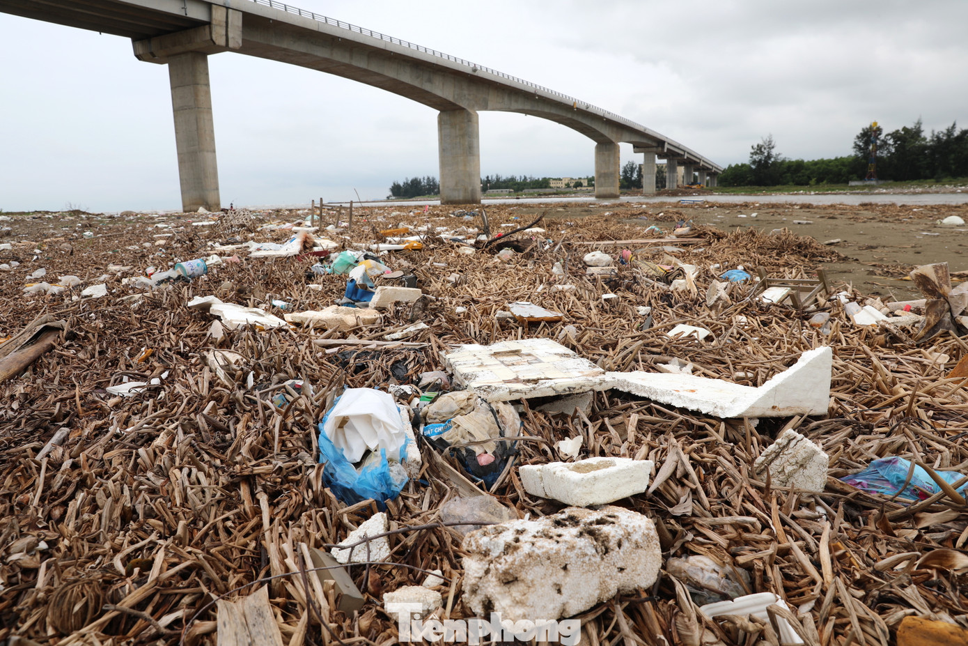 Liên quan đến vấn đề này, bà Hồ Thị Tâm - Chủ tịch UBND xã Diễn Thành xác nhận và cho biết, dọc bờ biển của xã này có nhiều rác dạt vào. Trong đó chủ yếu là bèo từ đầu nguồn ở các con sông, kênh của nhiều huyện như Yên Thành, Đô Lương… đổ dồn về biển và bị sóng đánh dạt vào bờ. "Để dọn dẹp rác thải, chúng tôi cắt cử các đoàn thể thực hiện một vài lần. Giờ muốn sạch bãi biển này cũng phải bỏ ra số tiền khá lớn để thuê người dọn. Trong khi đó, nguồn kinh phí để thu dọn rác do huyện cấp cũng có hạn", Chủ tịch xã Diễn Thành nói.