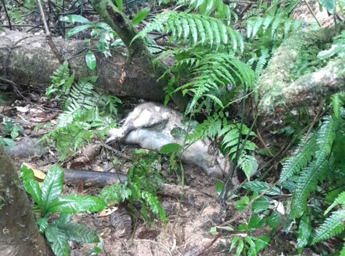 Cơ quan chức năng đang tiếp tục theo dõi để có hướng xử lý kịp thời. Cơ quan chức năng đang tiếp tục theo dõi để có hướng xử lý kịp thời.