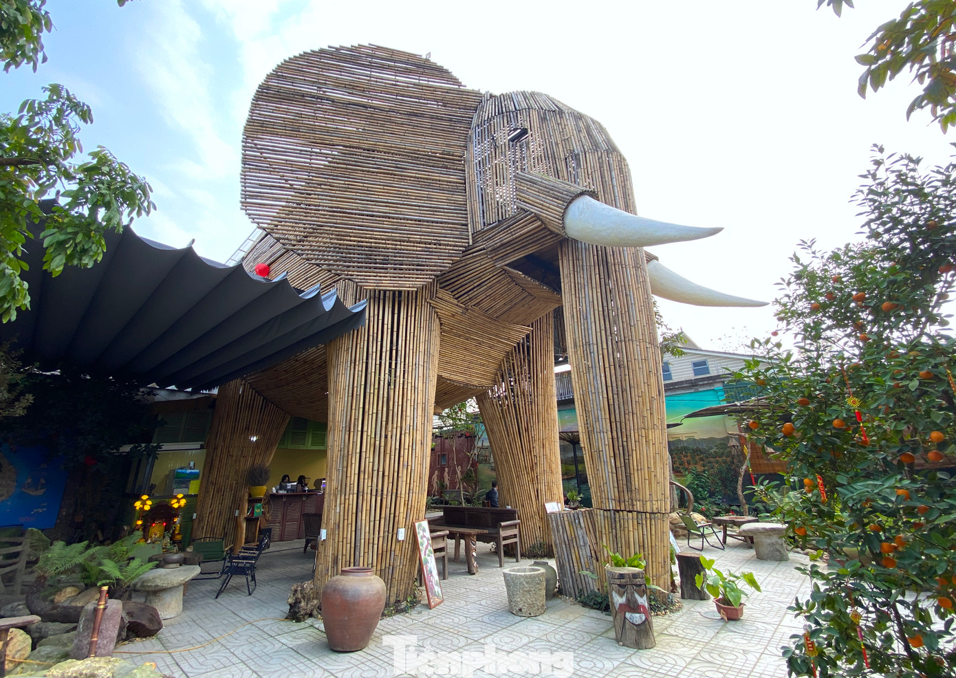 Mỗi chi tiết của voi đều được anh Nam thiết kế tỉ mỉ, từ đôi tai rộng vẫy gió đến chiếc vòi dài uốn cong mềm mại.