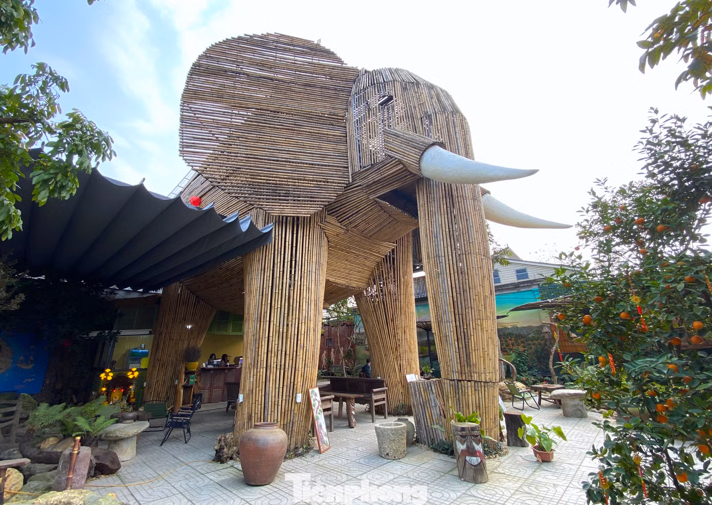Mỗi chi tiết của voi đều được anh Nam thiết kế tỉ mỉ, từ đôi tai rộng vẫy gió đến chiếc vòi dài uốn cong mềm mại.