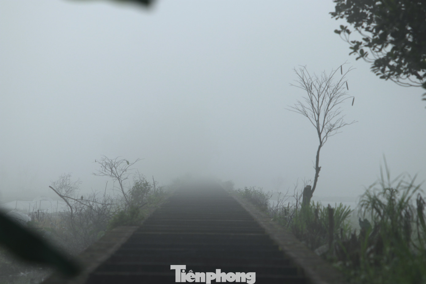 Một tuyến mương tưởng chừng dài bất tận trong màn sương mù dày đặc. Một tuyến mương tưởng chừng dài bất tận trong màn sương mù dày đặc.