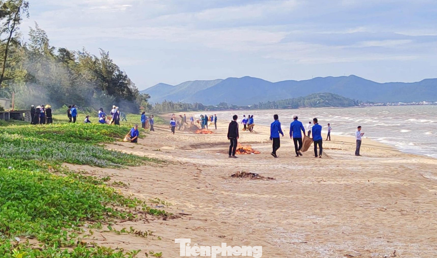 Bãi biển xã Quỳnh Liên trải dài với bờ cát trắng đẹp. Thời gian qua, rác, lá cây từ nơi khác đổ dồn về khiến một số khu vực của bãi biển này bị ô nhiễm. Bãi biển xã Quỳnh Liên trải dài với bờ cát trắng đẹp. Thời gian qua, rác, lá cây từ nơi khác đổ dồn về khiến một số khu vực của bãi biển này bị ô nhiễm.