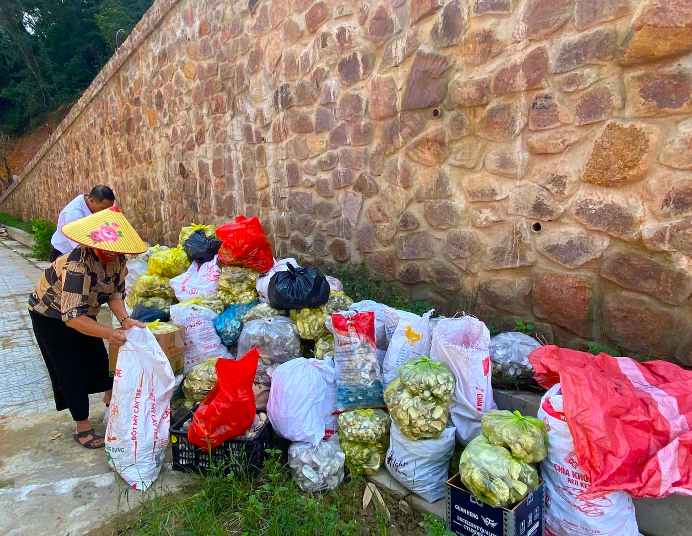Hàng triệu vỏ hàu, ốc, sò được người dân gom góp ngoài biển mang về cho những người thợ trang trí cây thông. Hàng triệu vỏ hàu, ốc, sò được người dân gom góp ngoài biển mang về cho những người thợ trang trí cây thông.