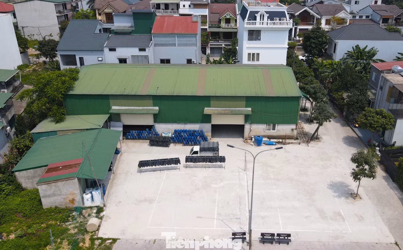 Cơ sở sản xuất giá đỗ này thuê lại nhà kho rộng hàng nghìn mét vuông ở phường Trung Đô. Người dân địa phương cho hay, thường ngày họ chỉ biết các nhân viên sản xuất giá đỗ chứ không biết việc sử dụng hóa chất. Đến khi cơ quan công an triệt phá, người dân mới giật mình lo sợ.