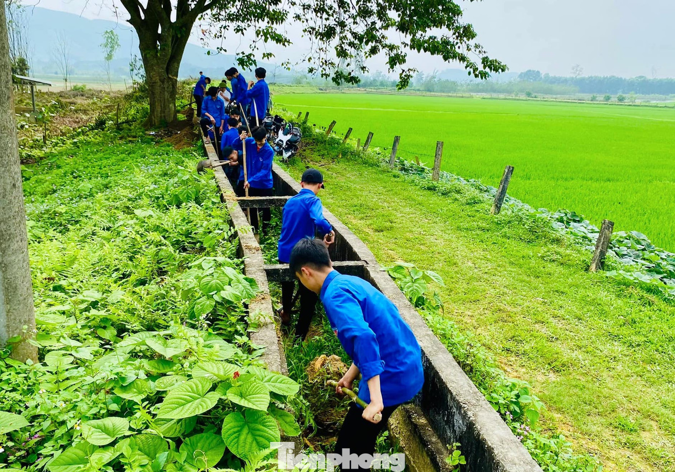 Trong đó, có 225 đội hình thanh niên tình nguyện xây dựng đô thị văn minh được triển khai. Trong đó, có 225 đội hình thanh niên tình nguyện xây dựng đô thị văn minh được triển khai.