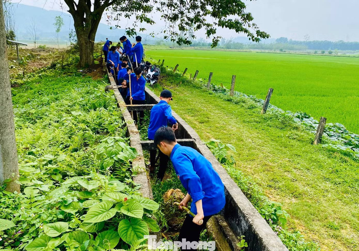 Trong đó, có 225 đội hình thanh niên tình nguyện xây dựng đô thị văn minh được triển khai.