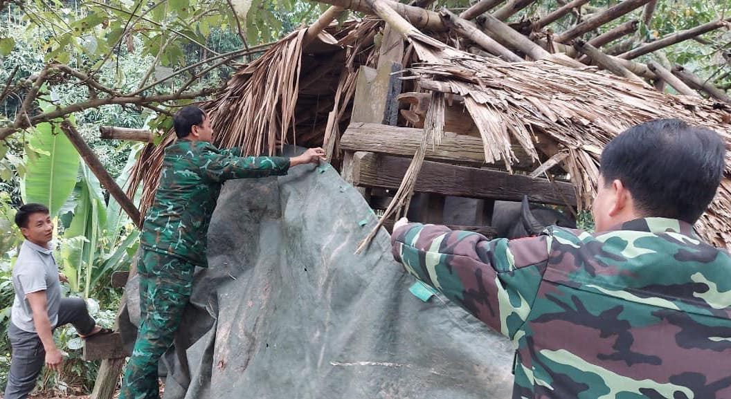 Cán bộ Đồn Biên Phòng Tam Hợp (Tương Dương, Nghệ An) hỗ trợ người dân căng bạt, che chắn chuồng trại chăn nuôi gia súc tránh bị thiệt hại bởi giá rét.