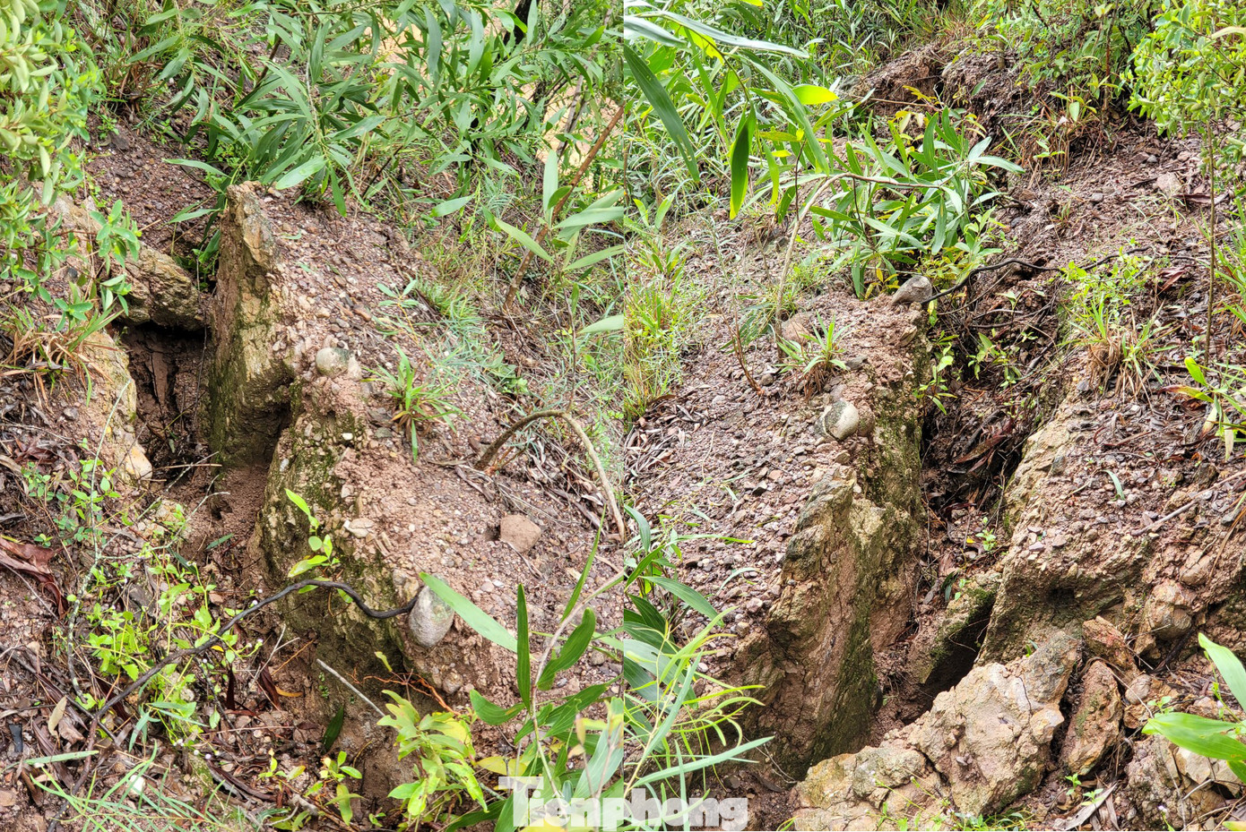 Nhiều năm trước, trên 2 ngọn núi Rú Rày, Rú Rậm xuất hiện vết nứt vòng cung kéo dài cả trăm mét, đe dọa sập xuống những hộ dân dưới chân núi.