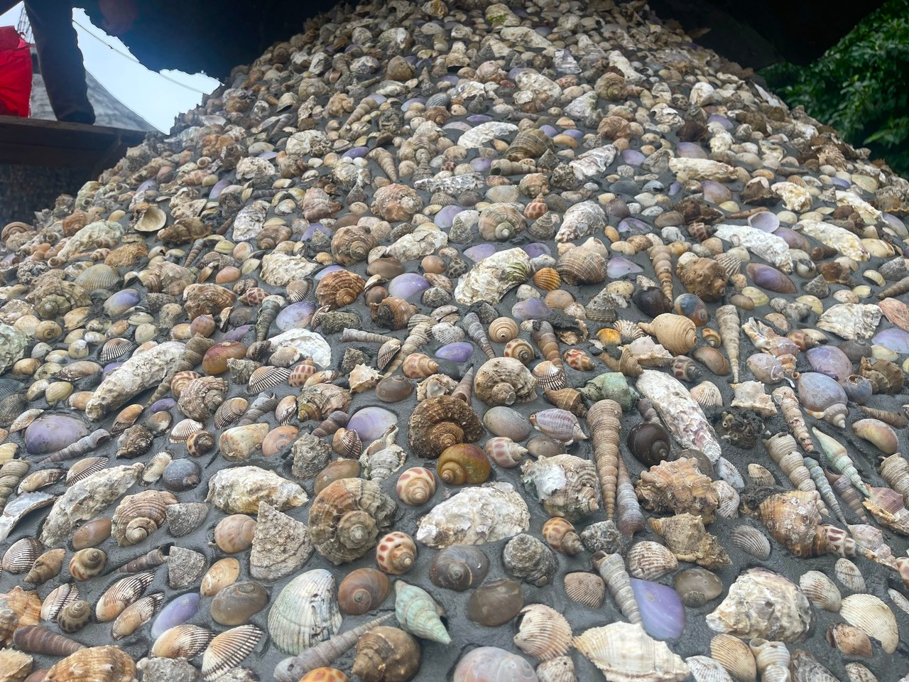 Cây thông được gắn hàng triệu vỏ ốc, hến, sò lên thân vây và 5 tán lá. Cây thông được gắn hàng triệu vỏ ốc, hến, sò lên thân vây và 5 tán lá.