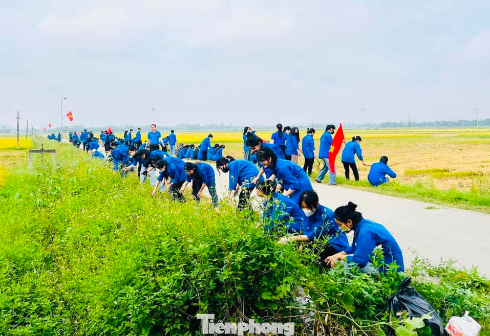 Tổng giá trị nguồn lực toàn tỉnh Nghệ An huy động trong dịp ra quân Chiến dịch thanh niên tình nguyện Hè 2024 là hơn 8 tỷ đồng.