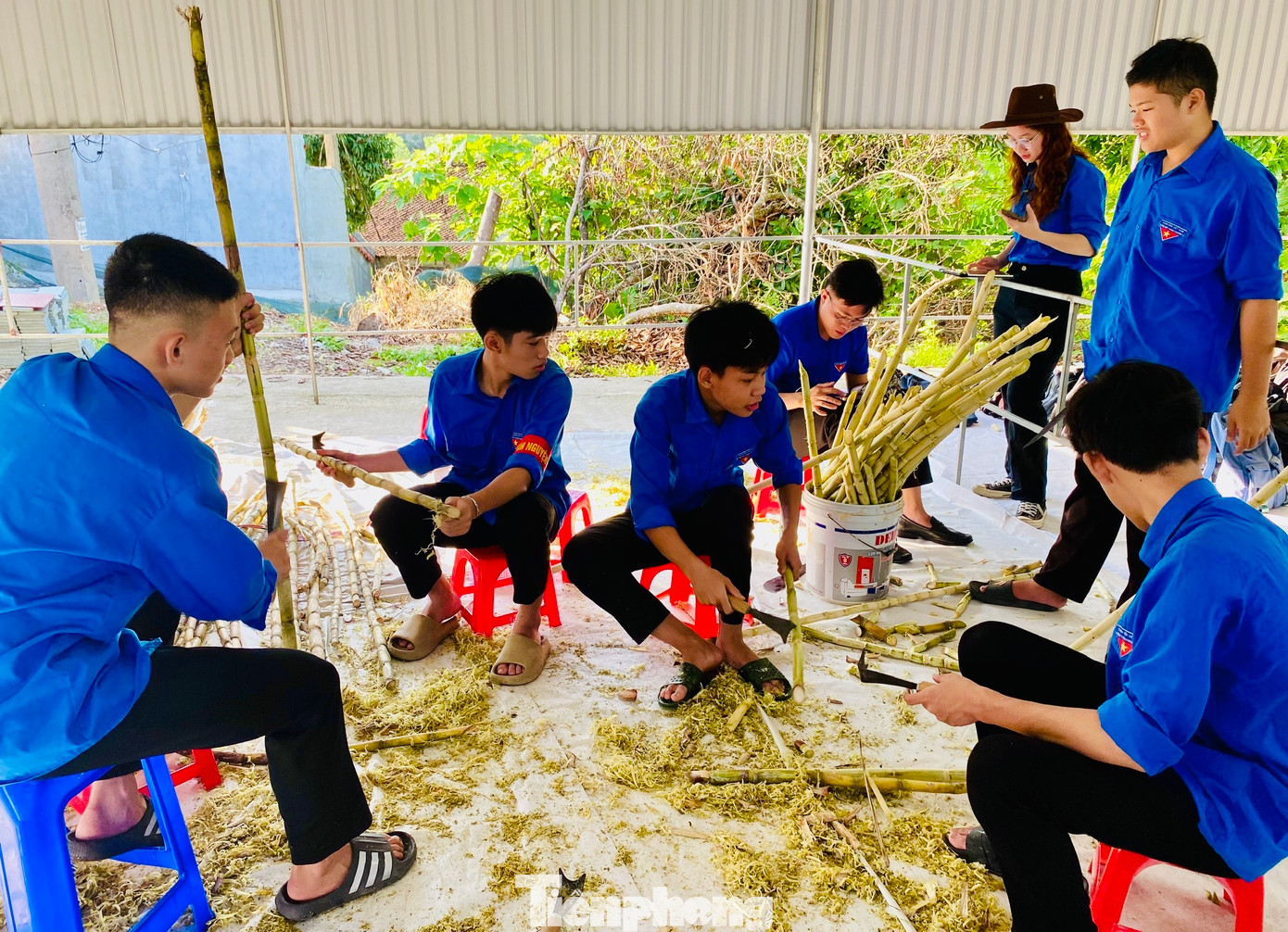 Đoàn viên thanh niên tại điểm thi trường THPT Thanh Chương 3 (huyện Thanh Chương, Nghệ An) chặt mía, ép nước phát tặng thí sinh và người nhà. Đoàn viên thanh niên tại điểm thi trường THPT Thanh Chương 3 (huyện Thanh Chương, Nghệ An) chặt mía, ép nước phát tặng thí sinh và người nhà.