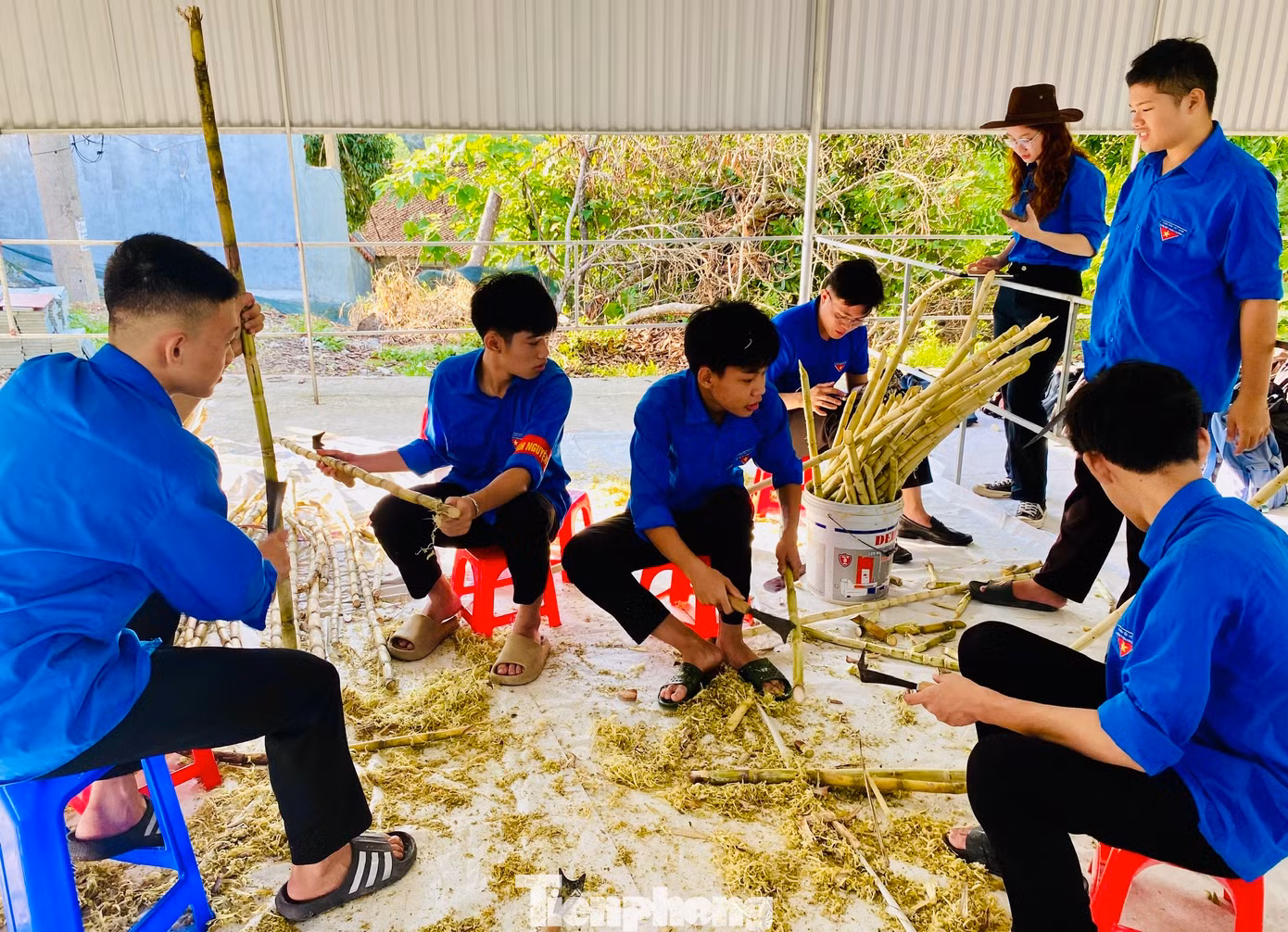 Đoàn viên thanh niên tại điểm thi trường THPT Thanh Chương 3 (huyện Thanh Chương, Nghệ An) chặt mía, ép nước phát tặng thí sinh và người nhà. Đoàn viên thanh niên tại điểm thi trường THPT Thanh Chương 3 (huyện Thanh Chương, Nghệ An) chặt mía, ép nước phát tặng thí sinh và người nhà.