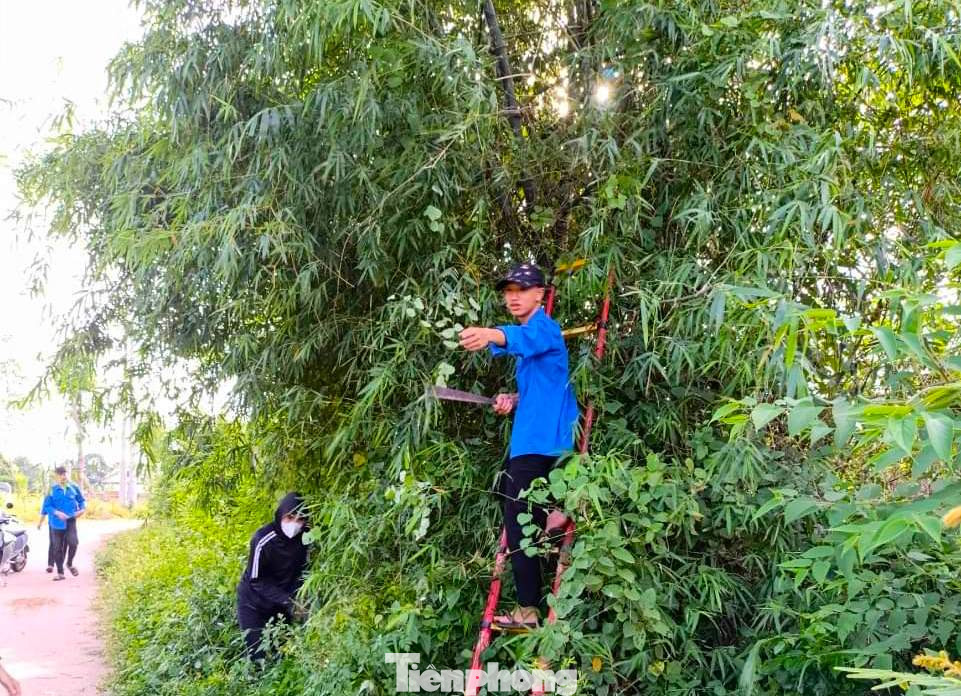 Các đoàn viên bất chấp nắng nóng, nhiệt tình tham gia phát quang các hệ thống đường điện.