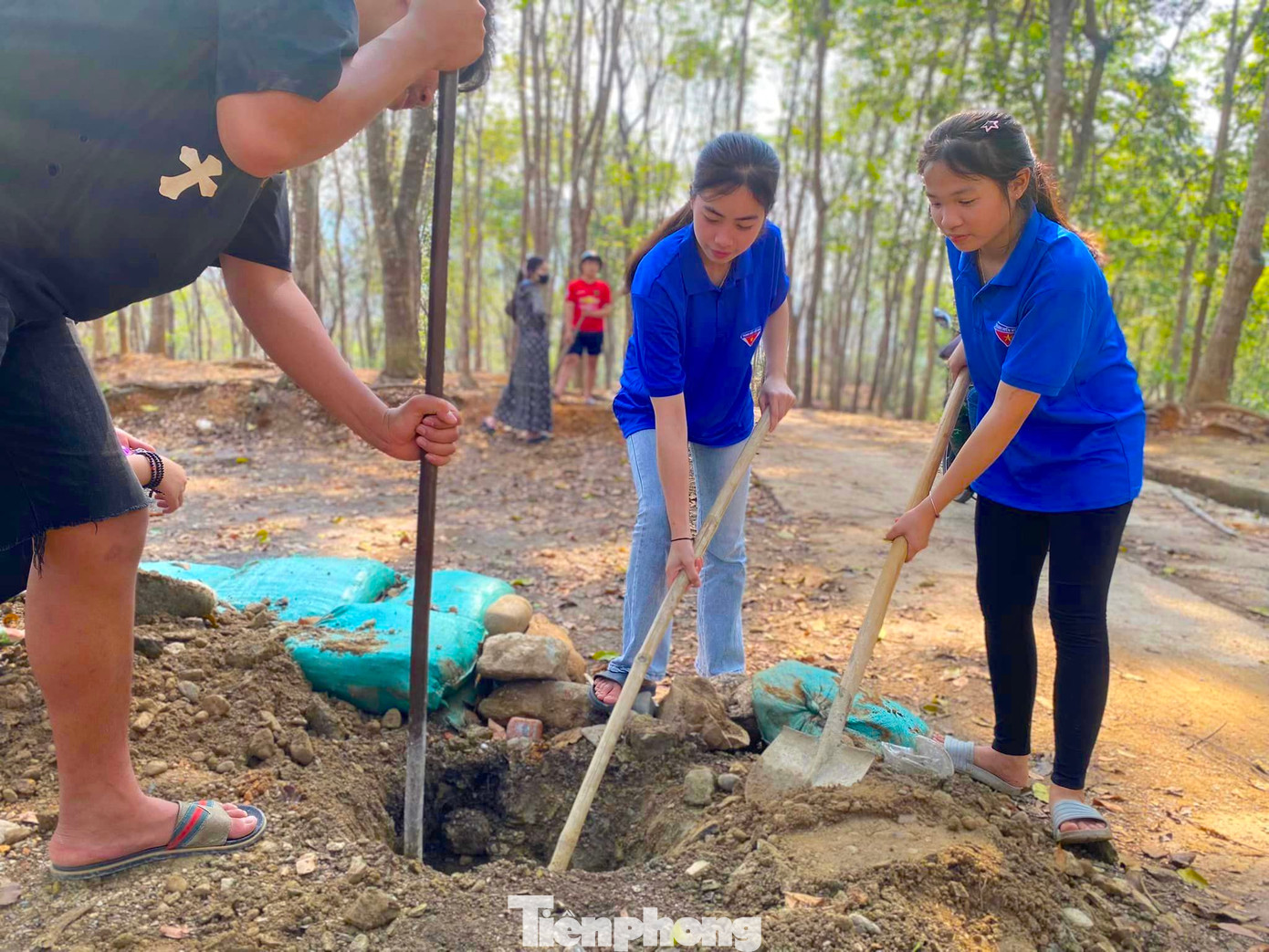 Nhiều cây xanh được các đoàn viên thanh niên tích cực trồng trong Tháng Thanh niên.