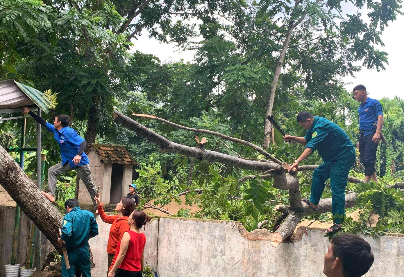 Tại huyện Quế Phong (Nghệ An), các đoàn viên thanh niên huyện đến dọn dẹp các cây xanh bị gãy đổ trên các tuyến đường, công sở ở thị trấn Kim Sơn và xã Tiền Phong (huyện Quế Phong).